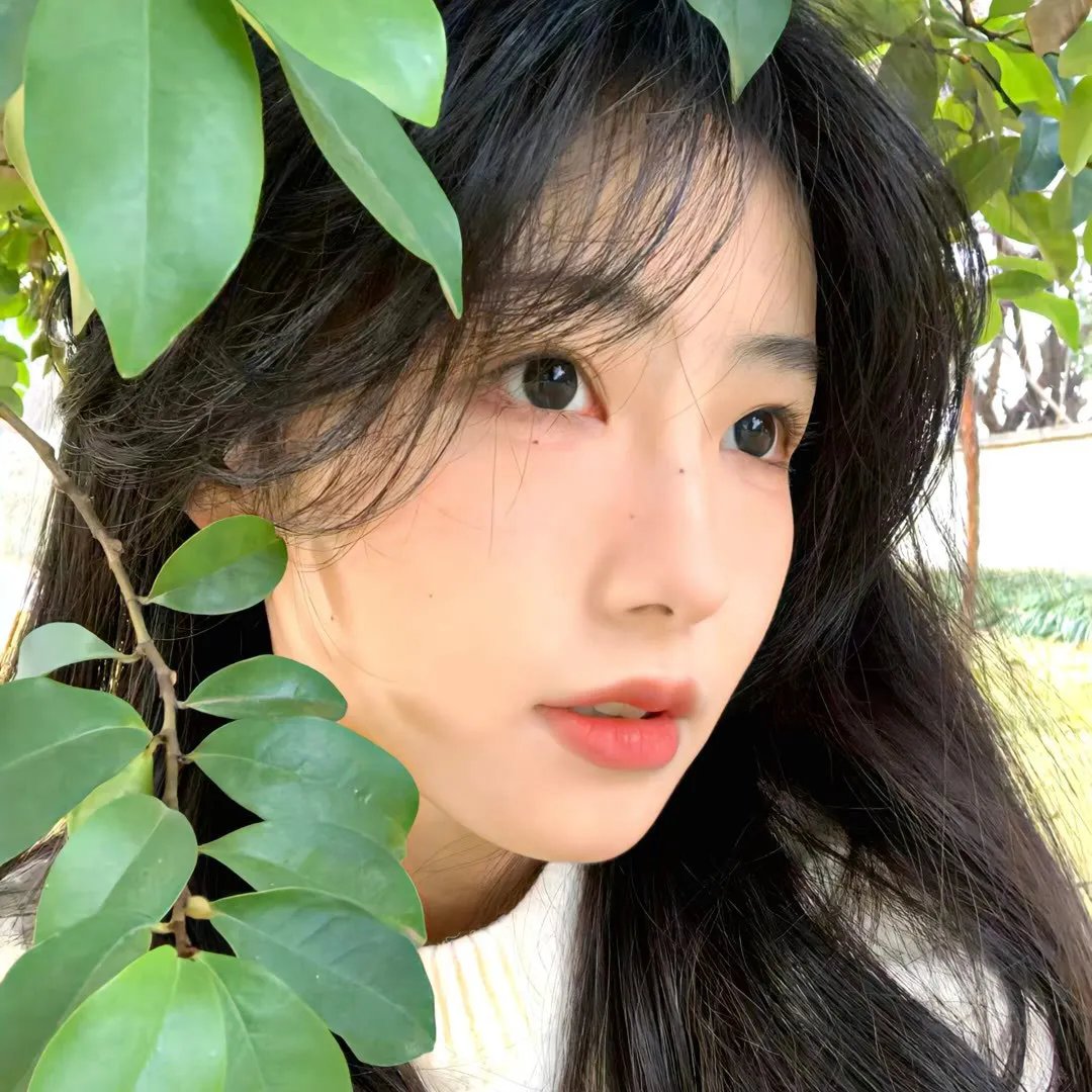 刀背藏身